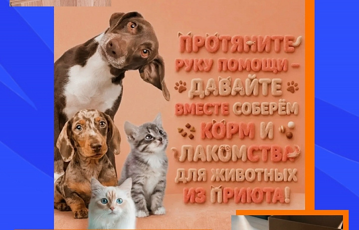 Новогиреевцы могут помочь приюту «Зоорассвет»
